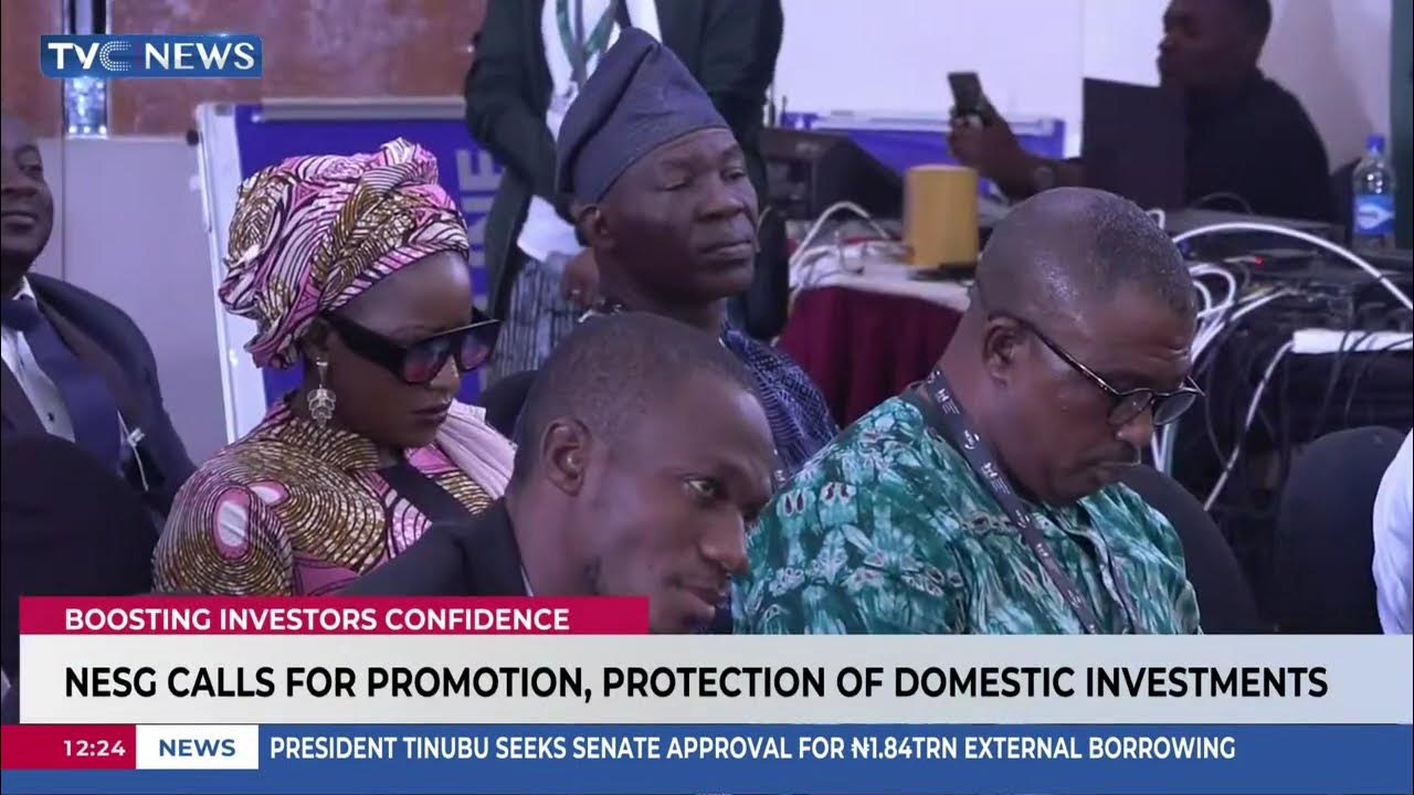 NESG Calls For Promotion, Protection Of Domestic Investments