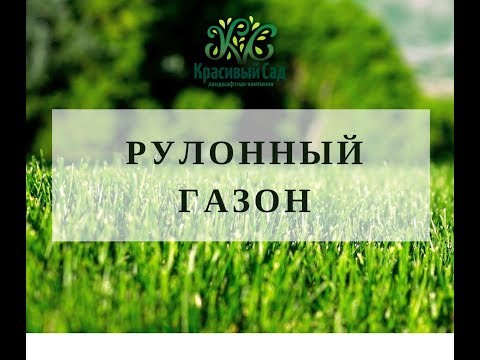 КРАСИВЫЙ САД. Рулонный газон