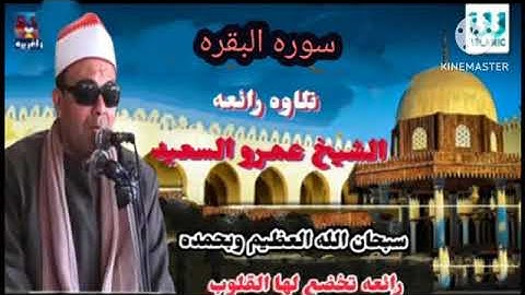 الشيخ عمرو السعيد قارئ جمهورية مصر العربية ماتيسر من سوره البقره
