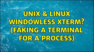 Unix & Linux: Windowless xterm? (Faking a terminal for a process)