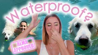 💦 MAQUILLAJE NO WATERPROOF ¿sobrevive al chapuzón 🐶
Hola bombones ☕💦 Ha llegado uno de los vídeos que más ilusión me hace grabar cada verano.
Porque sí: volvemos a poner a prueba el maquillaje waterproof. Y no vamos a conformarnos con mojar un poquito la cara y decir parece que aguanta 😂. Hoy vamos a comprobar qué pasa cuando llega el momento de la verdad: agua, chapuzón, verano y, por supuesto, Río 🐶💛
He preparado un maquillaje completo utilizando productos que prometen por su resistencia pero que no están marcados como productos waterproof. ¿Estaré loca o encontraremos joyas resistentes no marcadas como tal? ¿Conseguiremos llegar al final del experimento con el maquillaje en su sitio? ¿Habrá productos que me sorprendan?
¿Y cuáles acabarán diciendo aquello de… hasta aquí hemos llegado, Alma? 😂💦
Preparaos porque este ya es oficialmente nuestro gran experimento potinguil del verano.
Y si estáis buscando maquillaje para verano, playa, piscina, días de calor, sudor o eventos en los que necesitáis que todo aguante un poquito más… creo que este vídeo os interesa especialmente. 💄☀️
✨ PRODUCTOS MOSTRADOS
✨ The Porefessional · Benefit ➜ https://tidd.ly/4fhlRid
🍑 Fauxfilter Color Corrector Peach Light · Huda Beauty ➜ https://tidd.ly/4df6PbM
🍊 Fauxfilter 3.3B Marmalade · Huda Beauty ➜ https://tidd.ly/4vCUnK7
🫧 Eyeshadow Primer · Milani ➜ https://goo.su/jE7M
🤎 Ultimate Brow Dark Brown · Wet n Wild ➜ https://tidd.ly/44wHKVS
🖤 Black Spring · Lethal Cosmetics ➜ https://goo.su/qvcPR0W
✨ Glitter Primer · NYX Professional Makeup ➜ https://tidd.ly/3T4rJnx
🖊️ Dare Black Waterproof Liner · MAC ➜ https://tidd.ly/4plWiB4
🌬️ True Rays Breeze · W7 ➜ https://tidd.ly/4aYNIlP
💎 Flush of Light Opal Beam · Mesauda ➜ https://goo.su/MUVn6F
☁️ Soft Bounce · Technic ➜ https://tidd.ly/3QWac0b
🍒 Cherry Blossom Cake · Huda Beauty ➜ https://tidd.ly/4aFfEbQ
🛡️ All Day Hold · Nabla ➜ https://goo.su/LSLwF
👁️ Hyperlash Waterproof Mascara · Catrice ➜ https://goo.su/Te5Pgy
🤎 Lip Contour Stain Toasty Brown · Huda Beauty ➜ https://tidd.ly/4ywoaXx
🌹 Lip Stain Soft Rose · Everybody London ➜ https://goo.su/AASEO
🖤 Infinity Lip Stain Crown of Thorns · Lethal Cosmetics ➜ https://goo.su/K7n68
📹 VÍDEOS WATERPROOF DE OTROS AÑOS
¡Maquillaje Waterproof 2025 con Río! ¿Resiste chapuzón y verano extremo 💦🐶 - https://youtu.be/NuyQeZ0DGZk
MAQUILLAJE WATERPROOF y el perro más feliz del mundo 💦🐶 - https://youtu.be/vzCy3YX9QMI
Maquillaje waterproof ¿verdadero o falso? - https://youtu.be/QMBH3IzLGf4
Probando maquillaje waterproof Me he quedado loca - https://youtu.be/1sSc_sJ2fAU
Probando maquillaje resistente al agua - Chapuzón con maquillaje waterproof - https://youtu.be/14ozsG3i5TY
Probando maquillaje waterproof - Al agua patos - ¿Es maquillaje efervescente? - https://youtu.be/1LziBNl3bbg
Probando maquillaje waterproof con un buen baño - Chapuzón veraniego y potinguil - https://youtu.be/h5Vgb1_utQA
📷 VÍDEOS DE EL MUNDO:
🐶 Una semana de verano… hasta que Río se hizo daño 💛 - https://youtu.be/_ZxRULLJJEg
🏡 ¿Han aceptado mi oferta por la casa perfecta? 🤞 - https://youtu.be/wIhBP2wISXM
💸 TODOS MIS CÓDIGOS DE DESCUENTO:
🧴 10% en Wailöha - ALMAWAI - https://acortar.link/jWZQMO
🌸 10% en Miin Cosmetics - ALMAMIIN - https://tidd.ly/3RCpByN
💄 10% en Maquillalia - MUNDODEALMA - https://tidd.ly/3XGilEH
💜 12% en Yesstyle - CAFEALMA12 - https://tidd.ly/4lpPGzG
💖 5% en Tahe - elmundodealma - https://goo.su/Zt95p
✨ 5% en Skinvity - ALMA - https://goo.su/aVgMc
💍 15% en Murona - Código: ELMUNDODEALMA - https://acortar.link/S1fiM8
🌿 20% en Colvin y Colvin Jungle - ELMUNDODEALMA - https://acortar.link/2qBknz
✨ 10% en Revox - MUNDODEALMA - https://tidd.ly/3JBzg52
🛍️ En Wetaca - ELMUNDODEALMA - https://acortar.link/fKXNfl
Para no echarnos de menos os dejo algunas de mis redes sociales:
💙 YouTube: El Mundo de Alma - https://goo.gl/RyVoFs
💛 Instagram - @el_mundo_de_alma - https://goo.gl/JftvKN
💜 TikTok - @uncafeconalma - https://acortar.link/OGrsQX
🎨 COSAS MOLONAS 🐾
Arte, grabación, Río - https://www.amazon.es/shop/elmundodealma
Música que uso - http://bit.ly/3qp3hK4
*Este vídeo no está patrocinado. Algunos de los enlaces / códigos son de afiliados. Gracias por apoyar mi trabajo usándolos*
#uncafeconalma #elmundodealma #maquillaje #maquillajewaterproof #maquillajeresistentealagua #maquillajedeverano #maquillajepiscina #maquillajeplaya #beautyespaña #Río 💦 MAQUILLAJE NO WATERPROOF ¿sobrevive al chapuzón 🐶