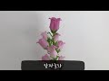 플로리스트를 위한 꽃이름 스터디 - 캄파눌라 / 다알리아 / 마트리카리아 / 홍조팝 / 해바라기