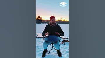 Open Your Eyes: The Rav Vast – A Deep Dive into Sound Vibrations