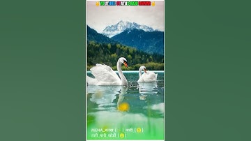 anil piplaj short video .....आदिवासी, स्टेटस..2023 sanjay mandloi rahul baghel मेलो भगोरिया आय गोया