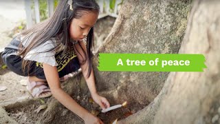 Episode 8: Tree of Peace in Maguindanao