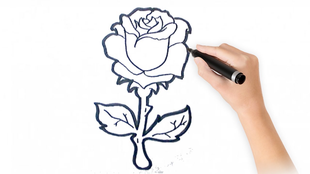 Featured image of post Dibujos De Rosas Faciles quieres conocer algo m s sobre ellas