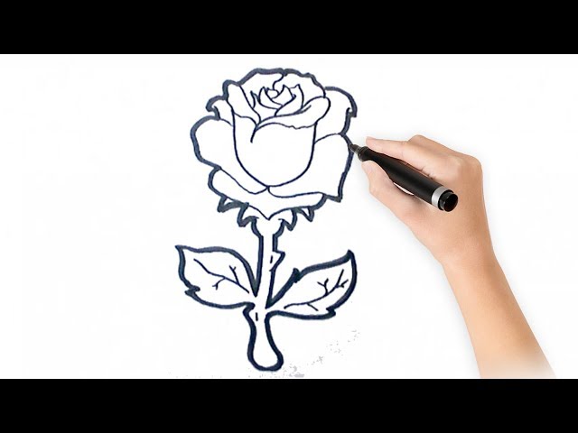 Cómo Dibujar Un Bello Y Escalonado Flor De Rosa Creación, Paso a Paso, Del  Dibujo De Lápiz Página Educativa De Artistas Ilustración del Vector -  Ilustración de cuadro, flor: 162156232