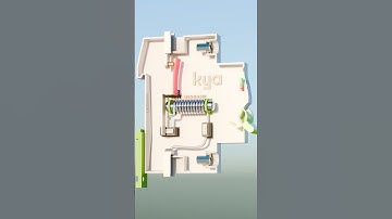 How does a Circuit Breaker Work?