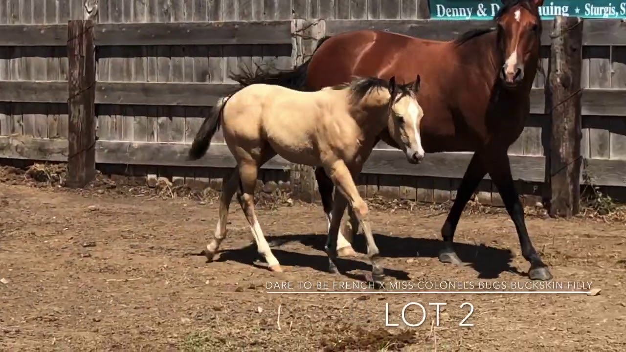 Lot 2 - Lauing Mill Iron L Ranch - YouTube