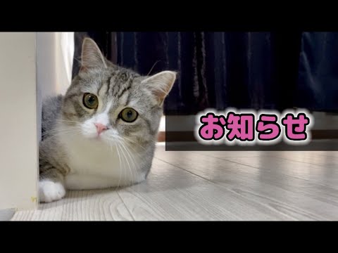 まるもち⑅︎◡̈︎*　No.203 205 おまとめ まるもち⑅︎◡̈︎*様専用 No.203 205 おまとめ