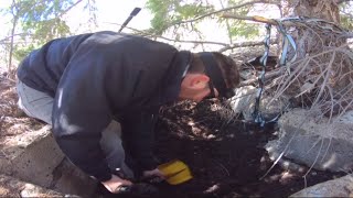 Albuquerque man claims to know where Forrest Fenn hid treasure Net Worth