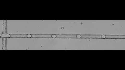 Droplet generation at 16000 frames per second