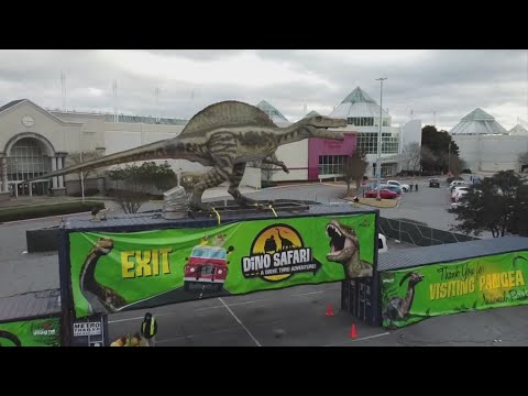 Dino Safari Opens Today At Ohio History Connection Youtube Dino Safari Opens Today At Ohio History Connection Youtube