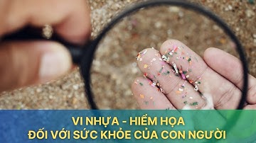 Vi nhựa - Hiểm họa đối với sức khỏe của con người  | VTV Sức khỏe