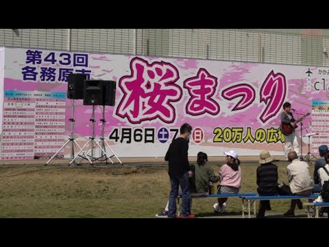 新境川 桜まつり 各務原 岐阜 19 Youtube 新境川 桜まつり 各務原 岐阜 19 Youtube