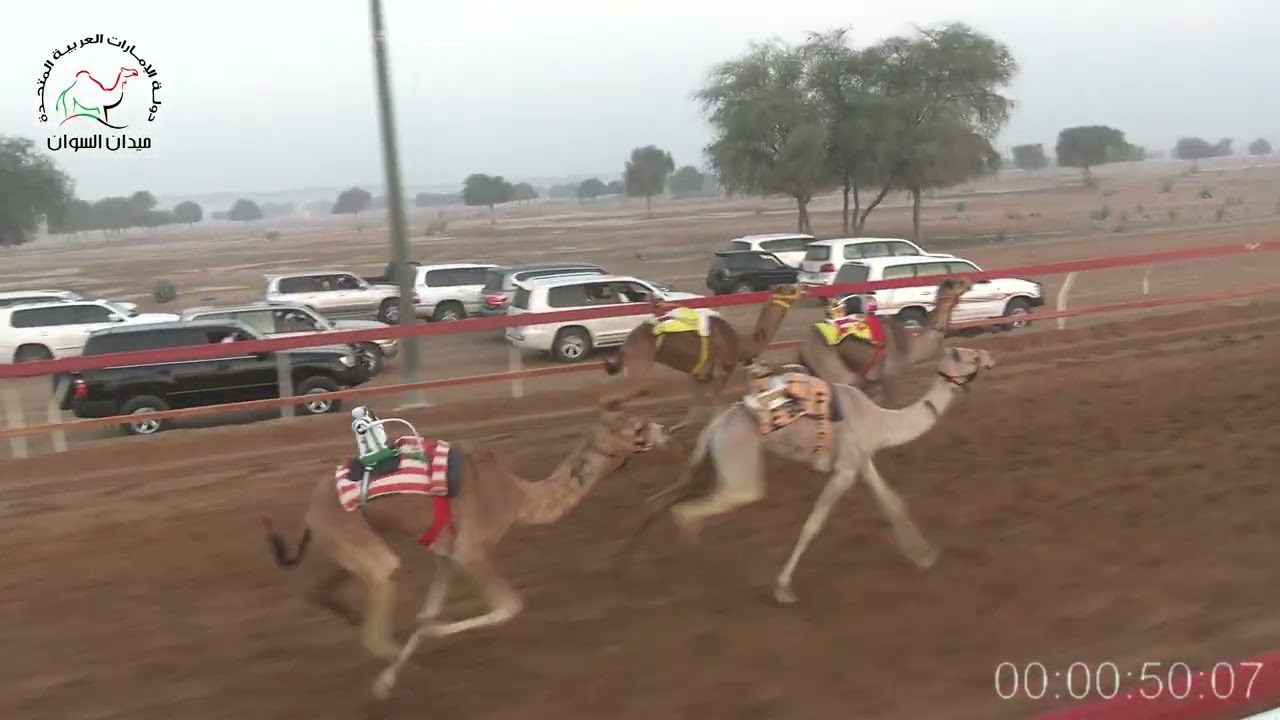 الشوط -3- الشاهينية- للسيد / فيصل عتيق هلال عبيد الخاطري- R3 -01/03/2026 – 02:12:18