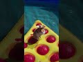 The Hamster Investigation