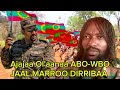 Gaffii Fi Deebii Ajajaa Ol Aanaa ABO WBO Jaal Marroo Dirribaa Waliin 23 November 2025