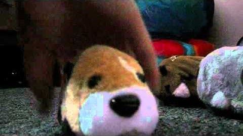 New kung zhu yama opening