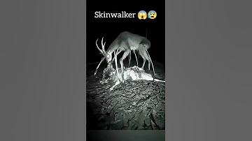 Skinwalker Disguised As Animals.Part-4 #shortsfeed #shortviral #youtubeshorts #scary #skinwalker