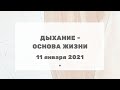 260 Ченнелинг "Дыхание - основа жизни" с Ириной Чикуновой Хамилия, 11.01.20221