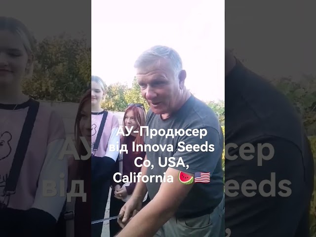 АУ-Продюсер кавун від Innova Seeds Co, USA, California 🍉👍🇺🇸 вирощені на Харківщині 👍👍👍