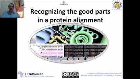 IBT 2017: S1 Lec6 Interpreting Your Multiple Sequence Alignment 2017I