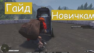 Infestation NewZ/ Гайд для Новичков