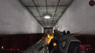 Killing Floor 1 How to kill a Fleshpound on Hell on Earth as a Firebug