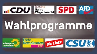 Alle Wahlprogramme aller größeren Parteien erklärt | EU-Wahl 2024