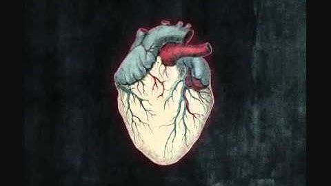 ♫ Alice in Chains - Lesson Learned ♫