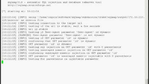 Official sqlmap video demonstration 9