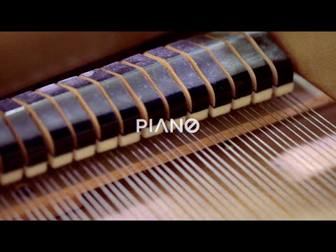 Resonancias, la armonía del sonido: Piano