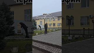 Чёрный дельфин. ИК-6