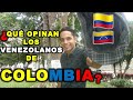 ¿LA AREPA ES COLOMBIANA? - Esto OPINAN los VENEZOLANOS sobre COLOMBIA
