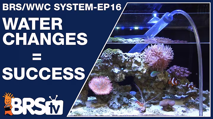 Ep16: How to do water changes for a dream saltwater tank? - The BRS/WWC System