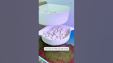 Bộ lọc 3 tầng cho bể dưới 60 đặt góc bể cá vừa vặn - lắp đặt nhanh chóng #aquatic #shorts