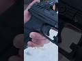 Walther PDP