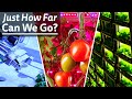How Much Can Vertical Farming Improve?