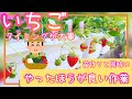 苗作りと並行してプランターも世代交代の準備/イチゴ/6月の管理作業/家庭菜園/プランター栽培/2023年