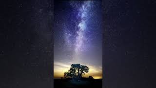 5 minutes stress relief Relaxing Night Sky 🌙✨ Calm Stars & Peaceful Music