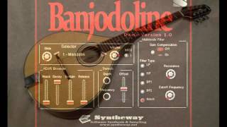 The Lilting Banshee (Traditional Irish Jig) Syntheway Banjodoline Virtual Octave Mandolin VST