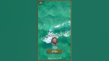 ماشاء الله تبارك الله ما تيسر من سوره البقره بصوت القارئ سلامه بن عقل