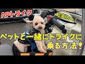 ペットと一緒にAPトライクに乗る方法！