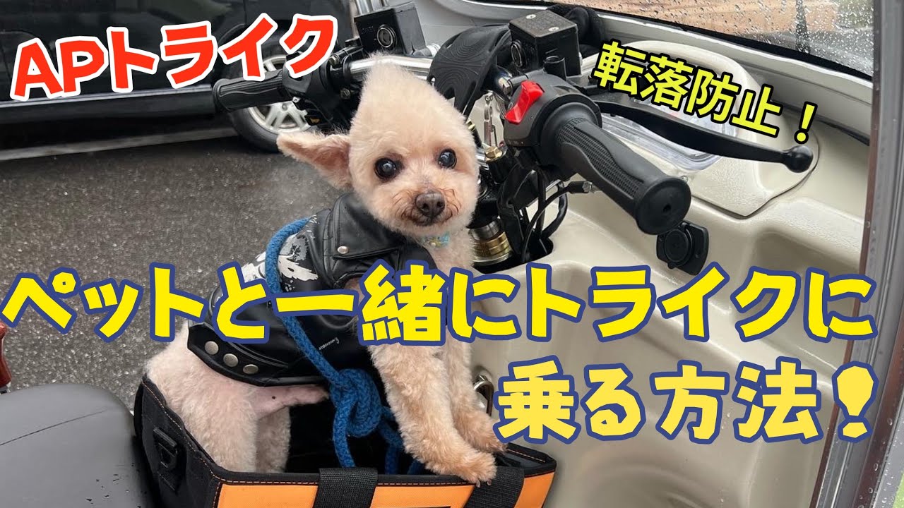 ペットと一緒にAPトライクに乗る方法！ - YouTube