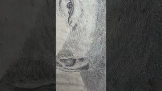 Wartime Portrait Drawing Prime Minister Leonard Winston Churchill  C1941