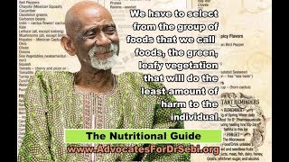 The Nutritional Guide Advocates For Dr Sebi