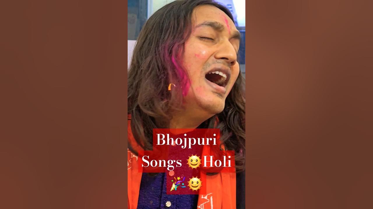 dj pari holi song