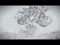深居優治 - 『君という雨』 MV
