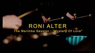 Roni Alter - The Marimba session: &quot;Mystery of Love&quot;  (Sufjan Stevens cover)